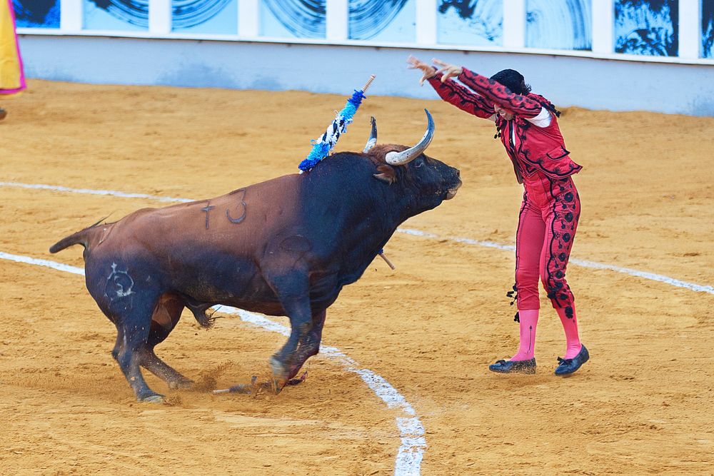 Spanish bullfighting performance, location unknown, 9 April 2017. View public domain image source here