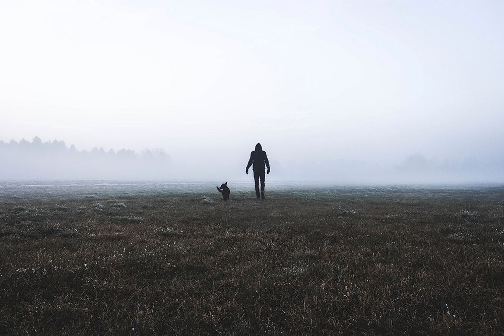 Free man and a dog walking in the fog public domain CC0 photo.