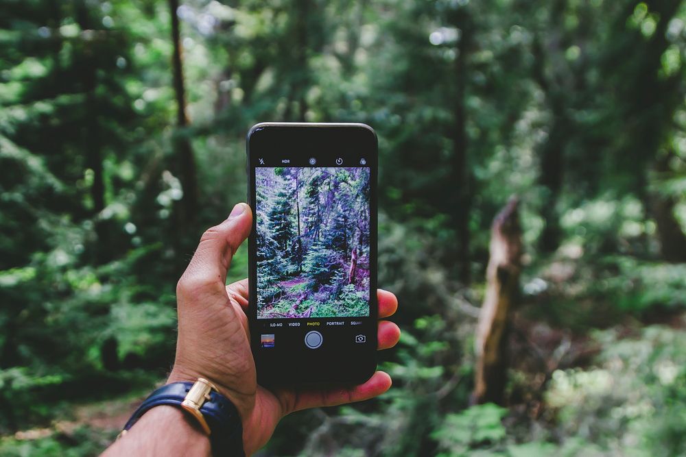 Free person taking picture in forest image, public domain human CC0 photo.