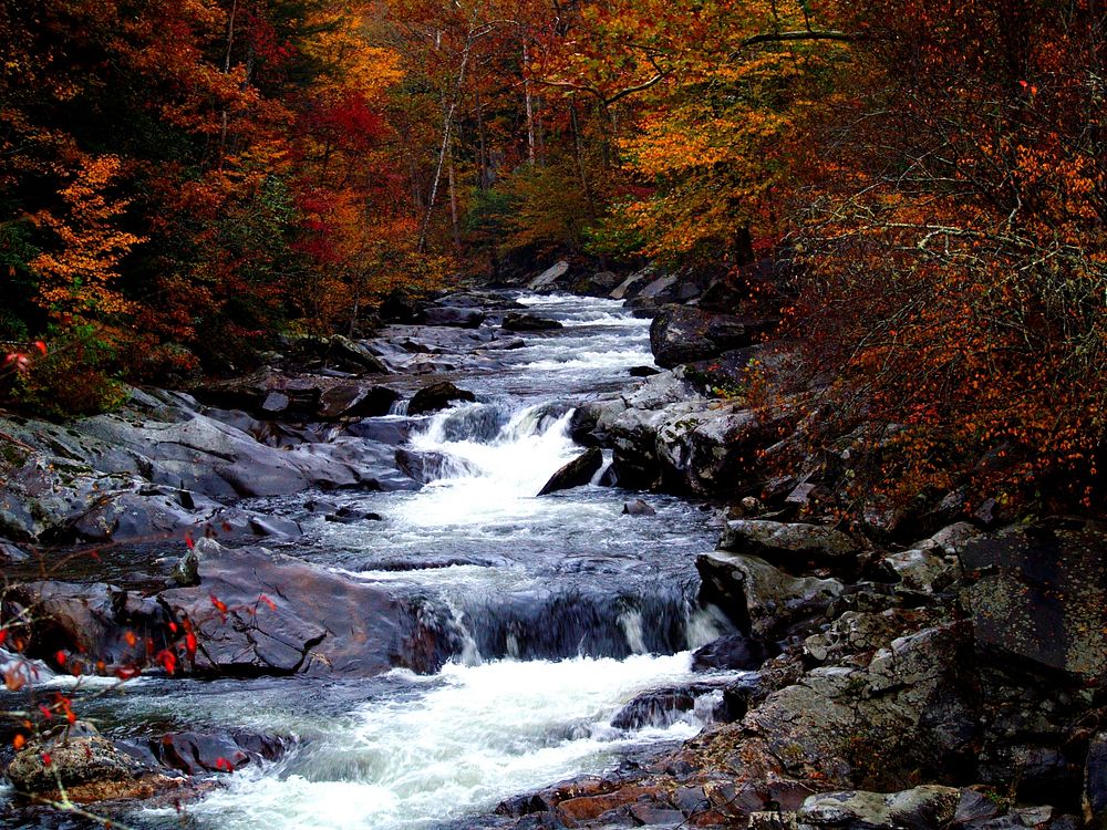 Free Tennessee Great Smoky Mountains National Park image, public domain nature CC0 photo.