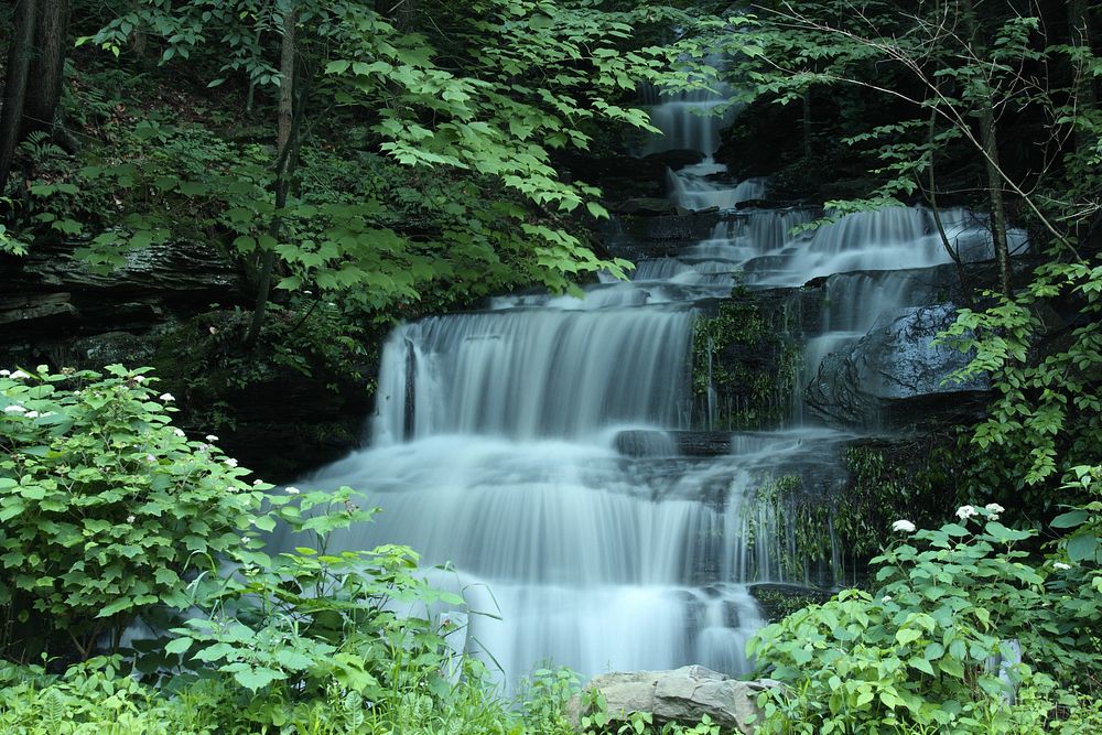 Free waterfall around greenery image, public domain nature CC0 photo.