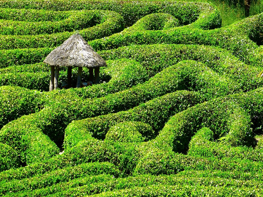 Free maze hut image, public domain travel CC0 photo.
