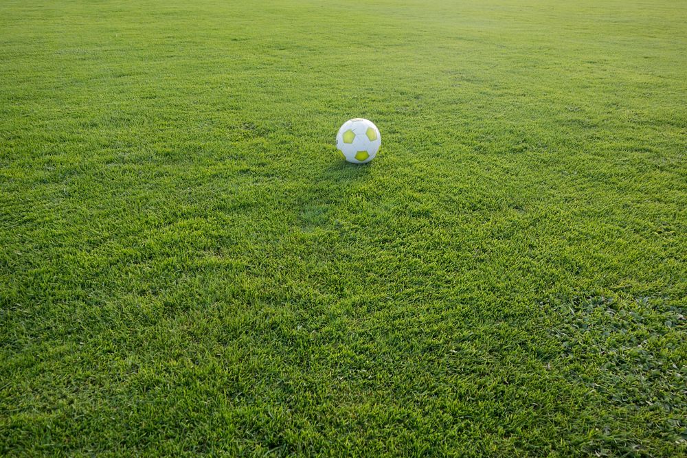 Soccer ball on grass field, free public domain CC0 photo