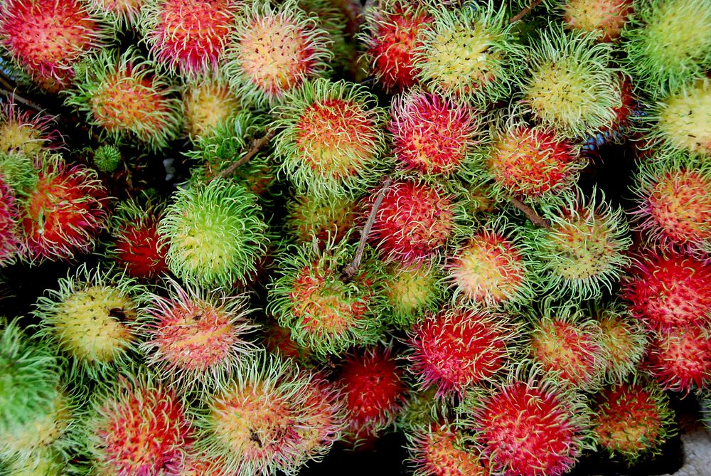 Free rambutan image, public domain fruit CC0 photo. 