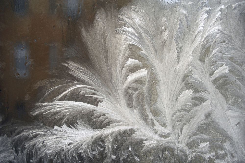 Free frost image, public domain winter CC0 photo.