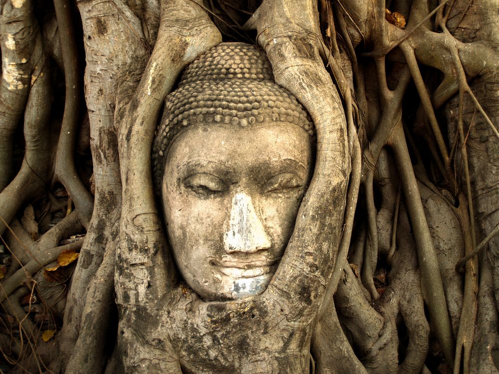 Buddha at Wat Mahathat in Ayutthaya, Thailand. Free public domain CC0 photo.