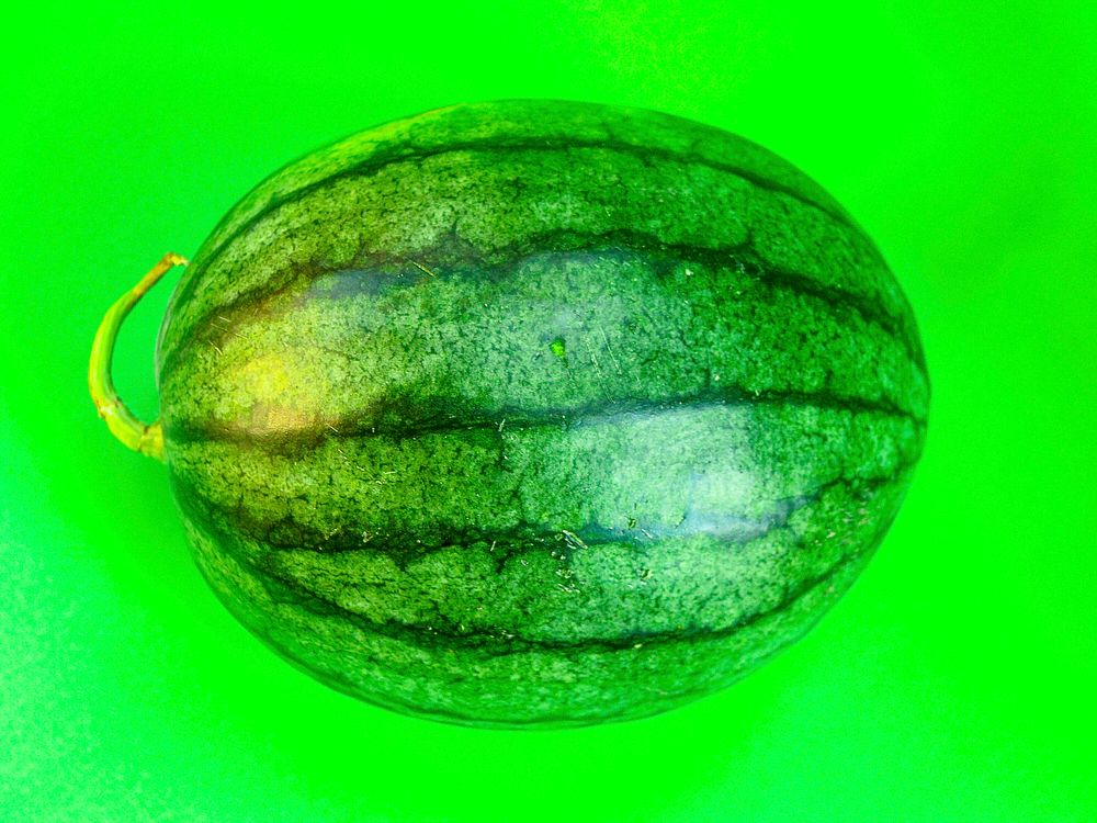 Free watermelon on green background photo, public domain fruit CC0 image.