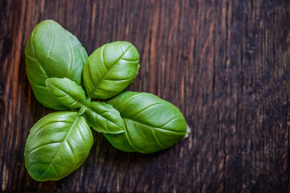 Free fresh green basil leaves on wooden table background photo, public domain vegetable CC0 image.