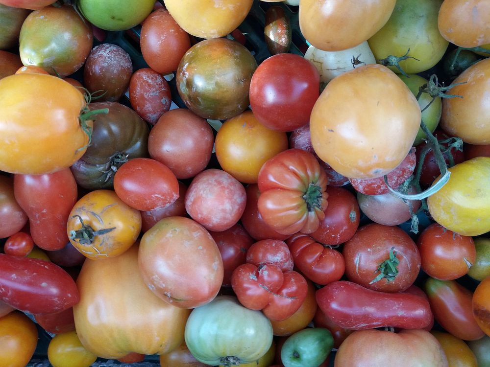 Free different types of tomatoes image, public domain CC0 photo.