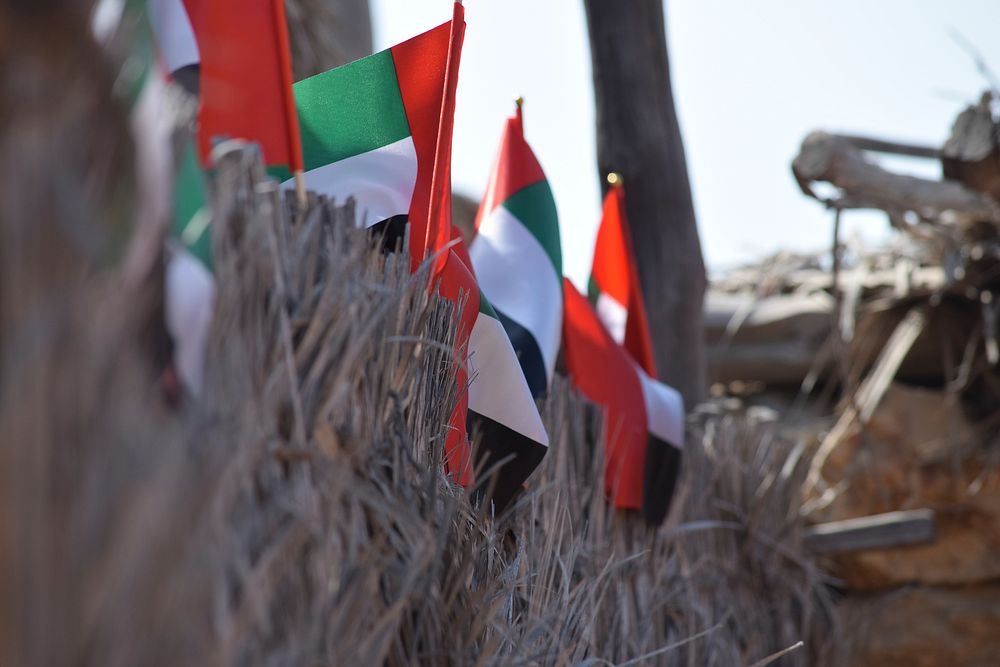 Free United Arab Emirates flag photo, public domain banner CC0 image.