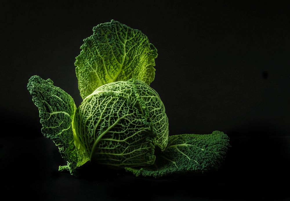 Free lettuce image. Free public domain vegetable CC0 photo