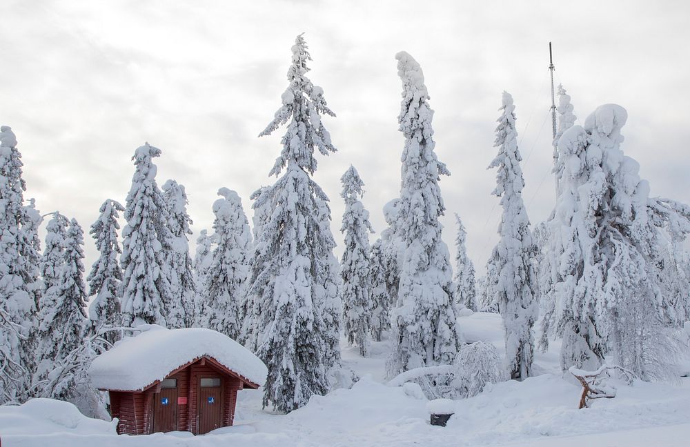 Free snowfall on trees and small hut photo, public domain nature CC0 image.