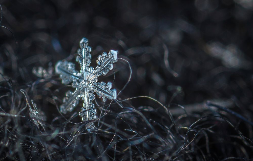 Free close up snowflake image, public domain nature CC0 photo.