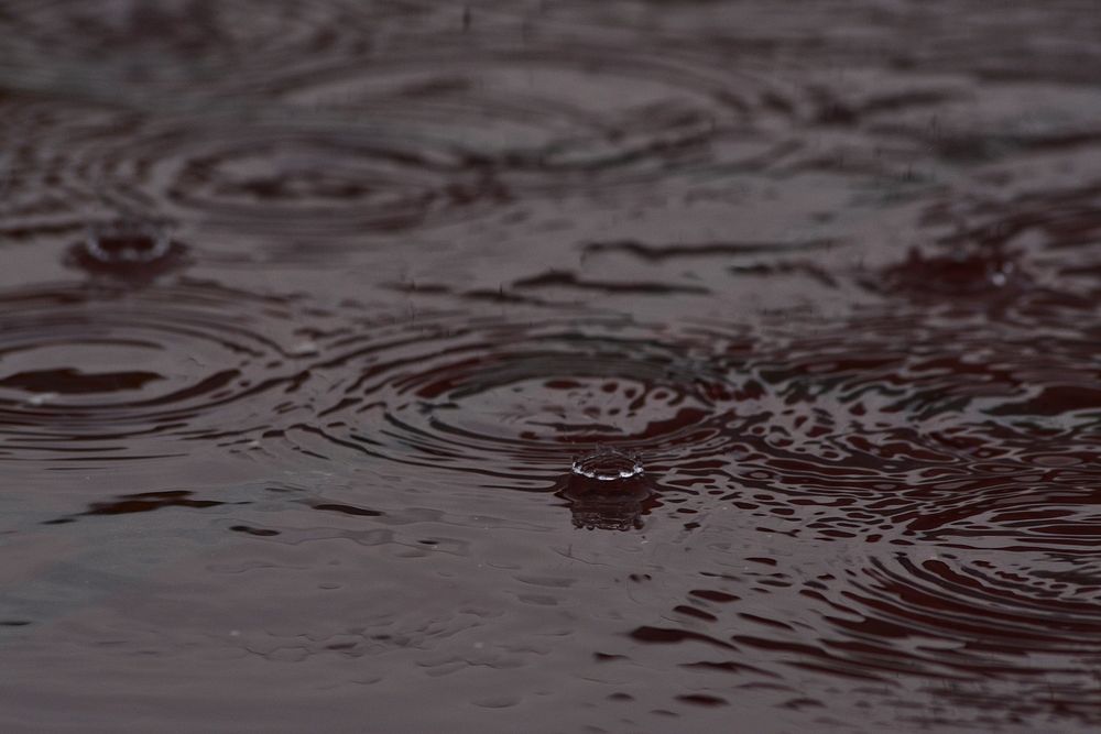 Free rain water texture background, public domain CC0 photo.