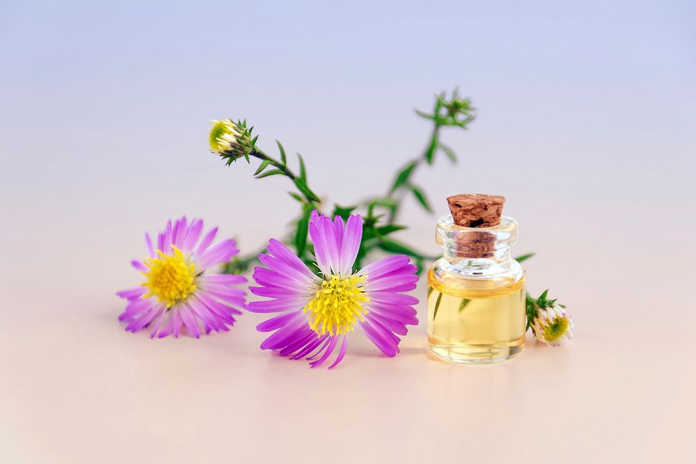 Free flower perfume bottle image, public domain CC0 photo.