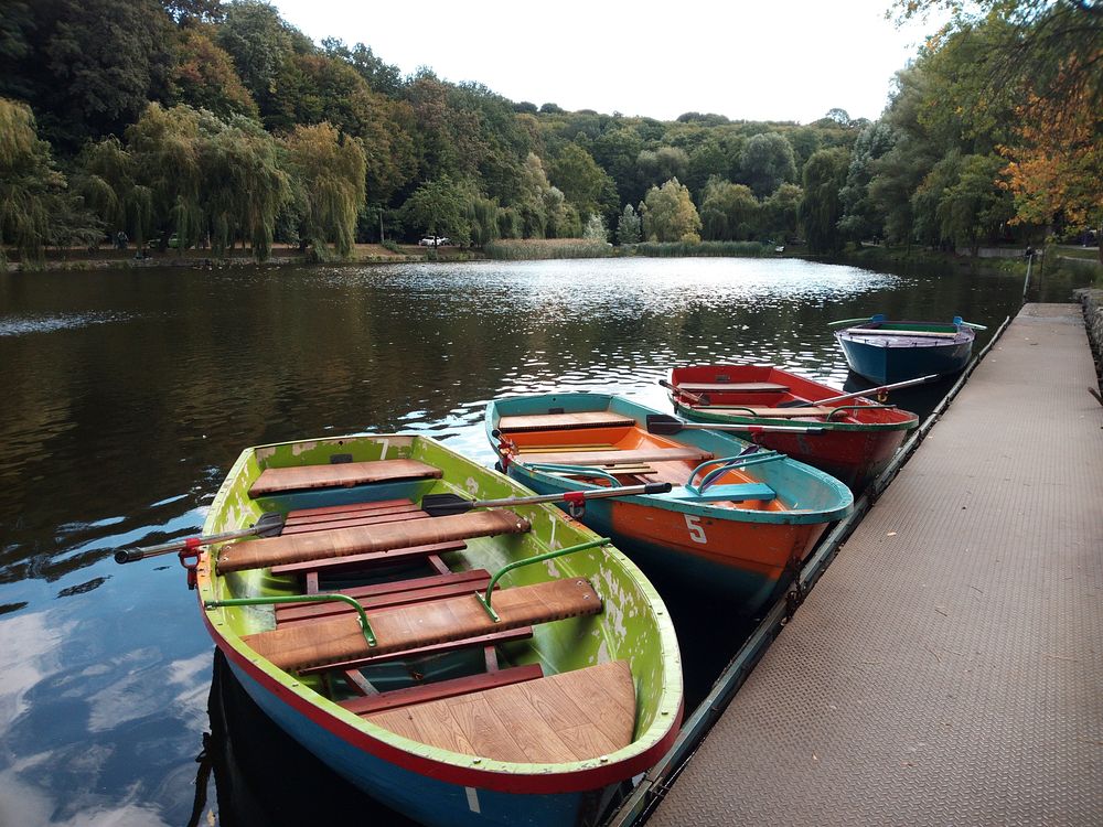 Free colorful rowboats at dock in a lake image, public domain CC0 photo.