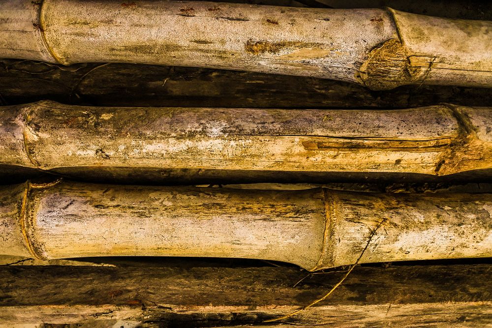 Free pile of bamboos image, public domain natural material CC0 photo.