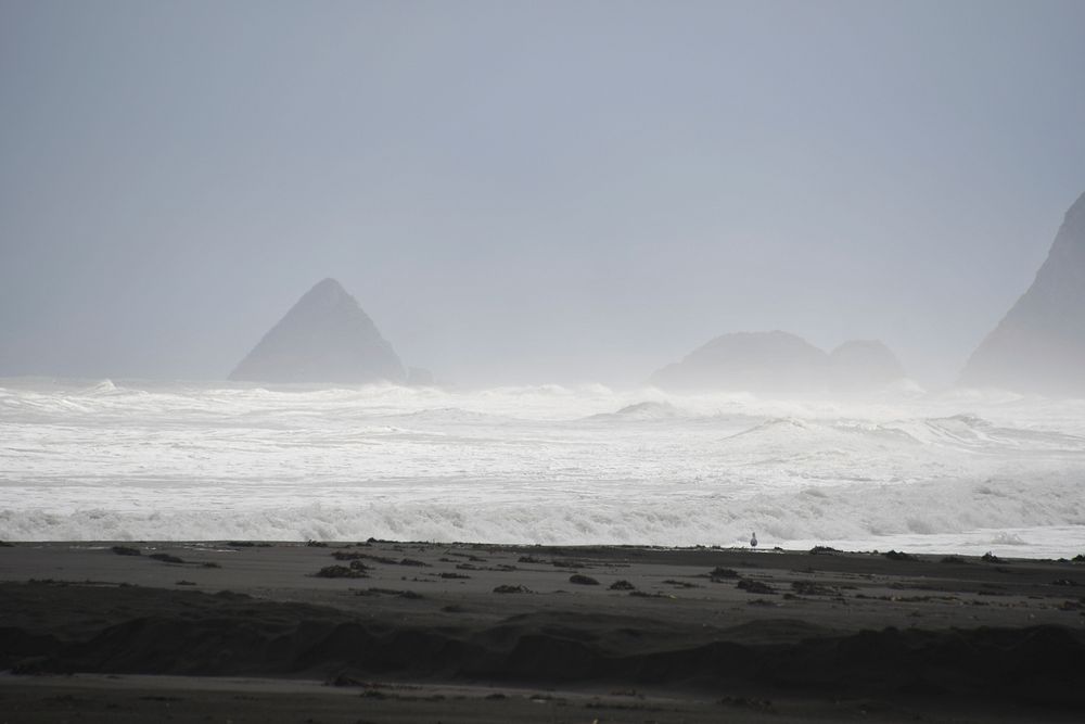 Foggy, misty beach, sea waves, free public domain CC0 photo.