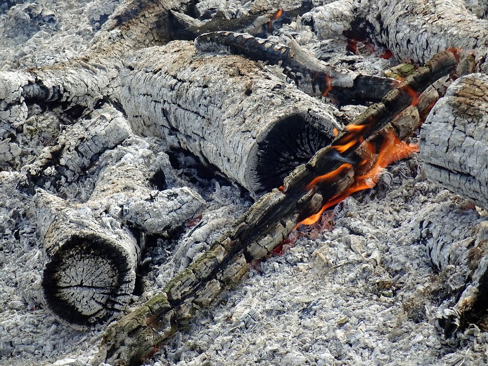 Free bonfire photo, public domain nature CC0 image.