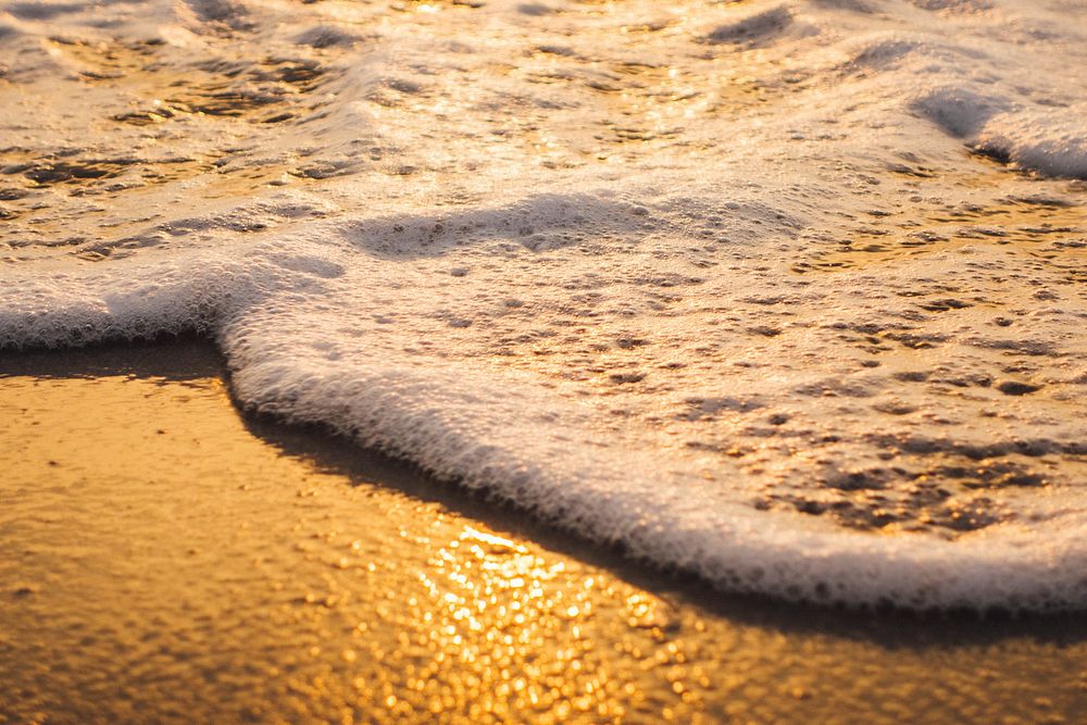 Golden hours on the beach, free public domain CC0 photo.