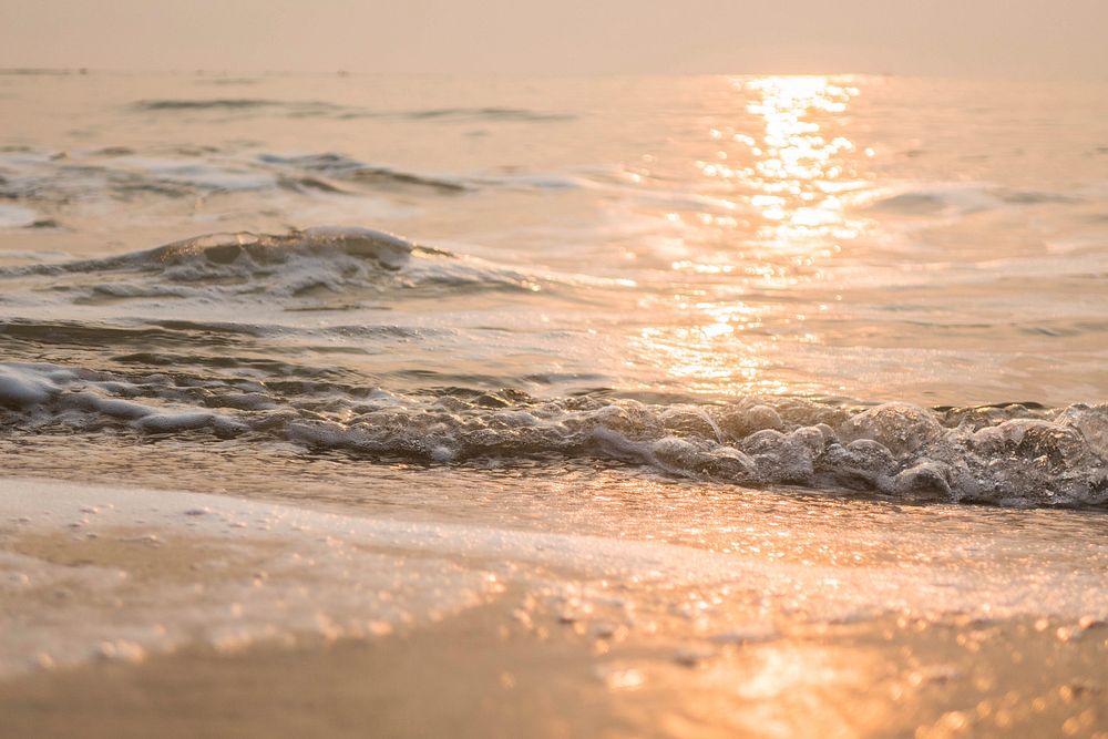 Golden hours on the beach, free public domain CC0 photo.