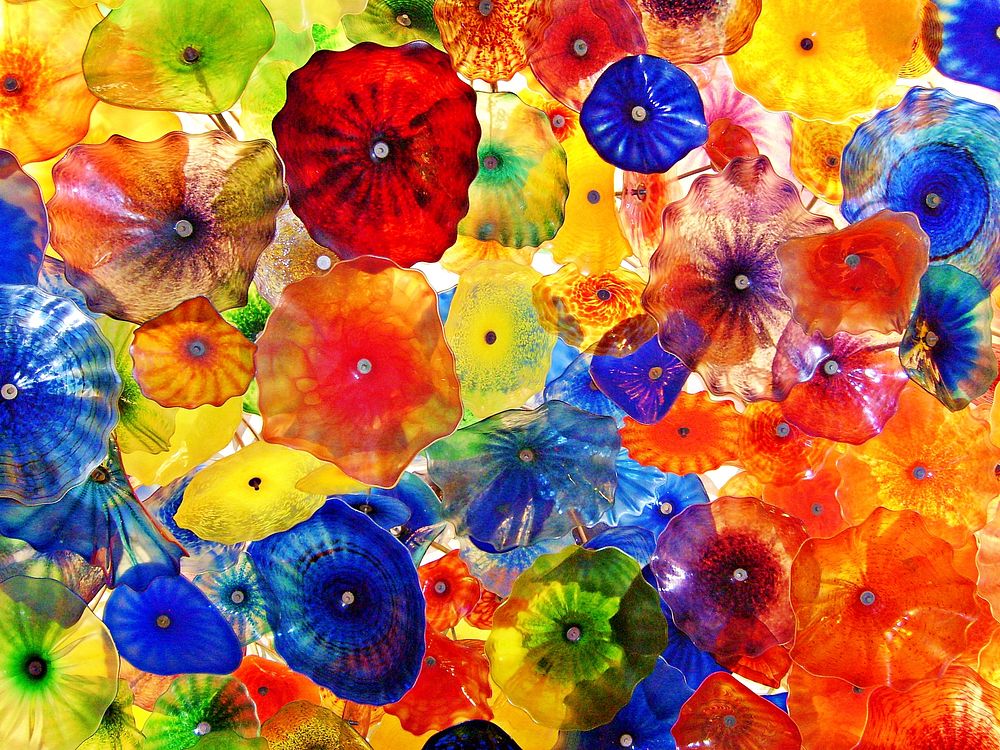 Free colorful flower image, public domain spring CC0 photo.