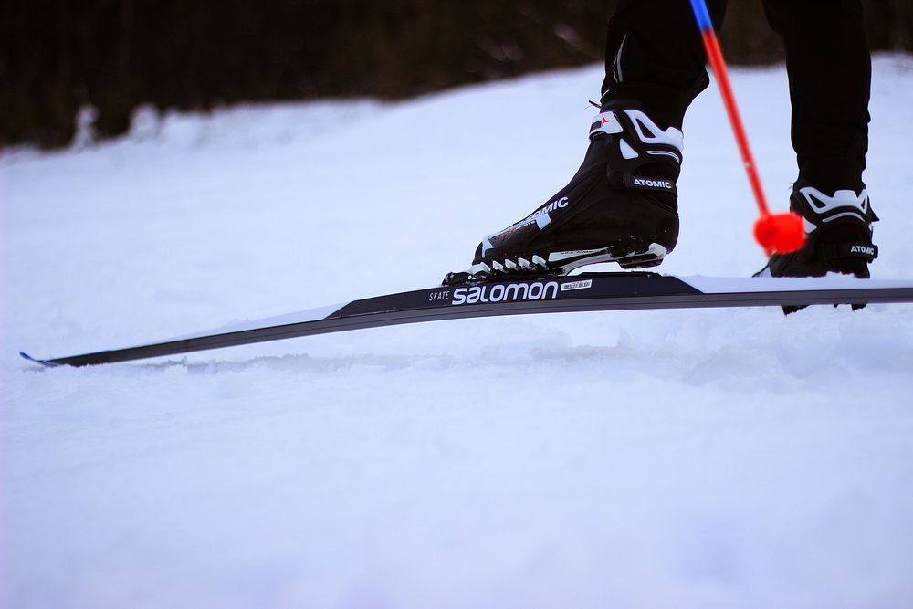 Salomon cross-country skis on snow, location unknown, 6 February 2020. View public domain image source here