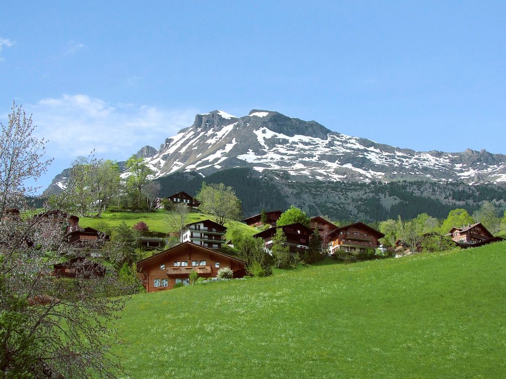 Free village near the Alps image, public domain landscape CC0 photo.