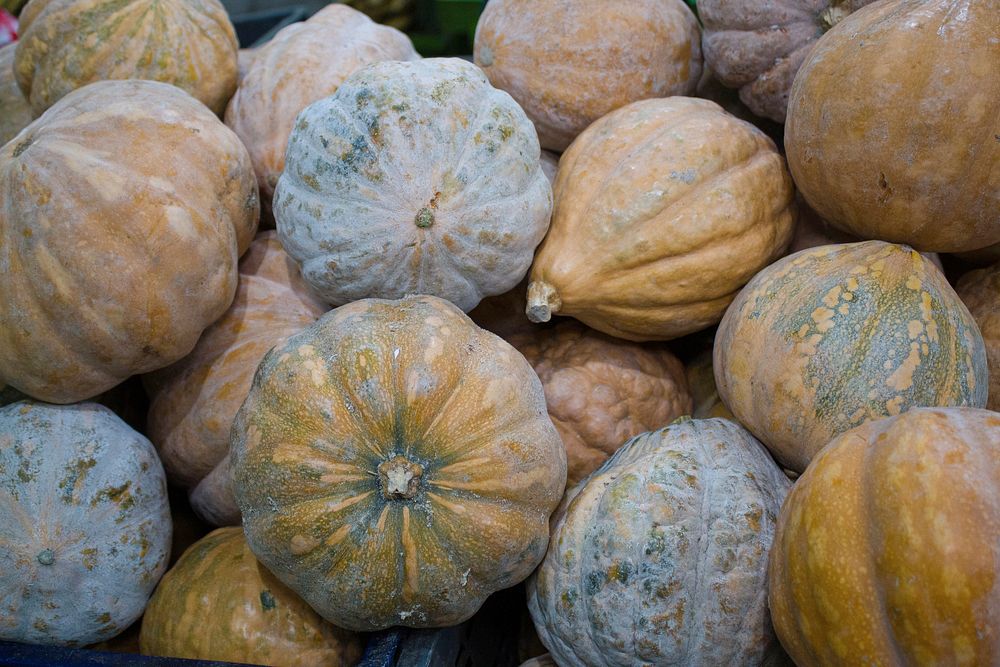 Free close up pumpkin image, public domain vegetable CC0 photo.