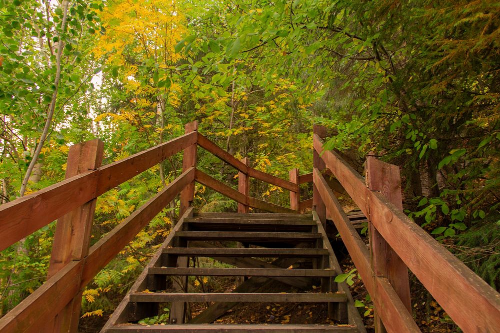 Free stair in forest photo, public domain nature CC0 image.