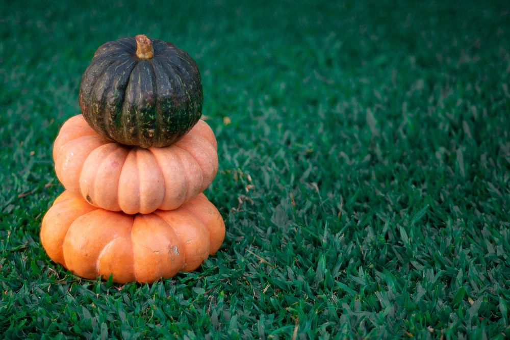 Free stacked pumpkins on grass photo, public domain CC0 image.