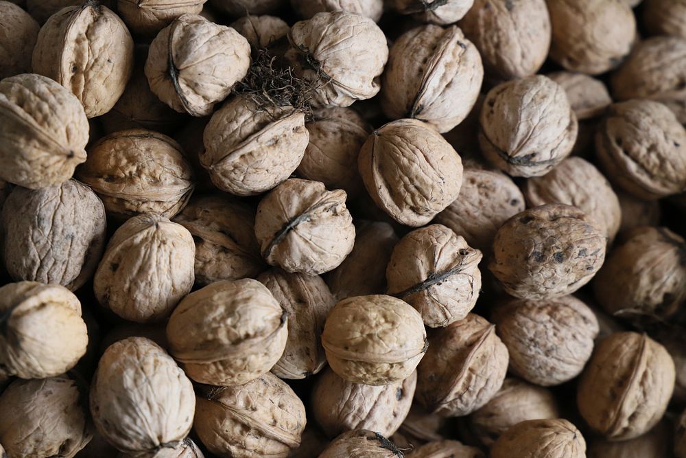 Free closeup on pile of walnut in shell image, public domain CC0 photo.