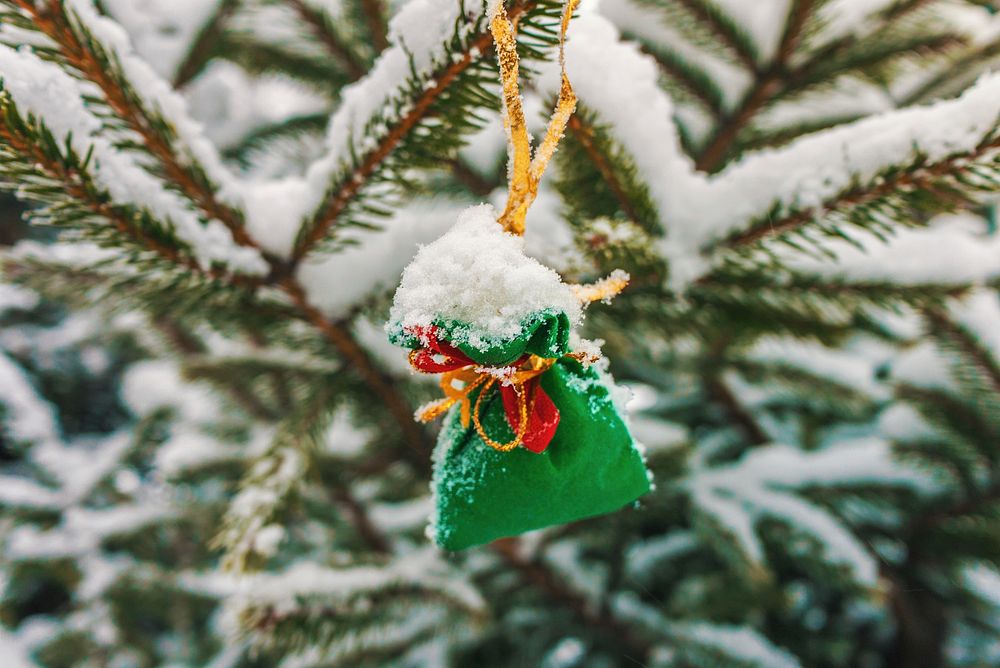 Free ornament on snowy tree image, public domain winter decoration CC0 photo.