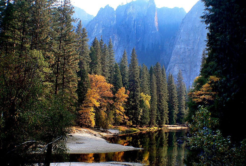 Free autumn forest by the water photo, public domain nature CC0 image.