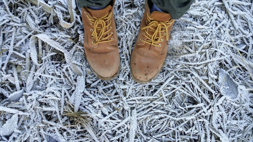 Free boots on grass in frost image, public domain winter CC0 photo.