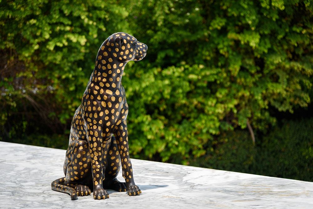 Free leopard statue image, public domain wild animal CC0 photo.