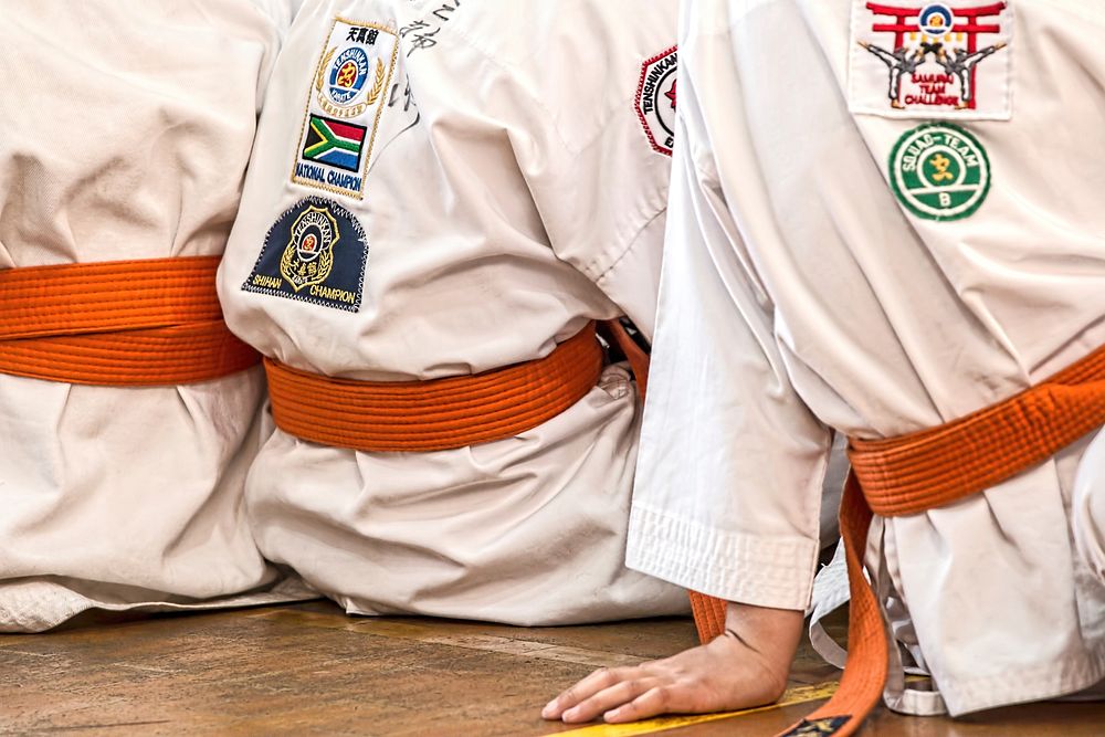 Tenshinkan, Squad-Team, Shihan Champion, South Africa Champion, embroidery logo karate uniform, location unknown, 21 January…