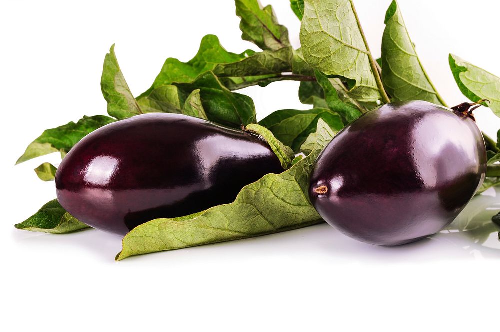 Free eggplants on white background photo, public domain food CC0 image.