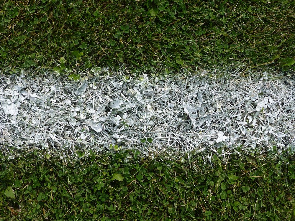 Free closeup on white line on grass field image, public domain CC0 photo.
