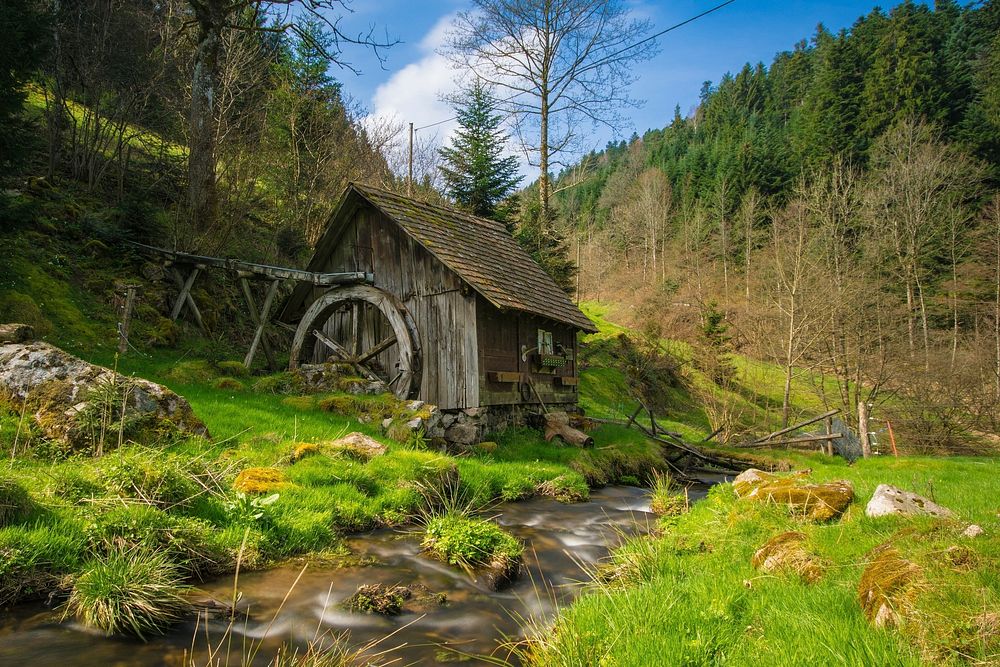 Free wooden house surround by nature image, public domain nature CC0 photo.