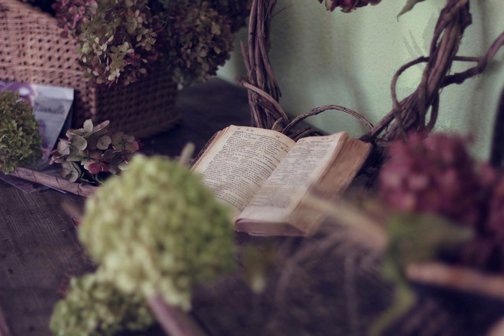 Free stylish home decor with plants and vintage book image, public domain CC0 photo.