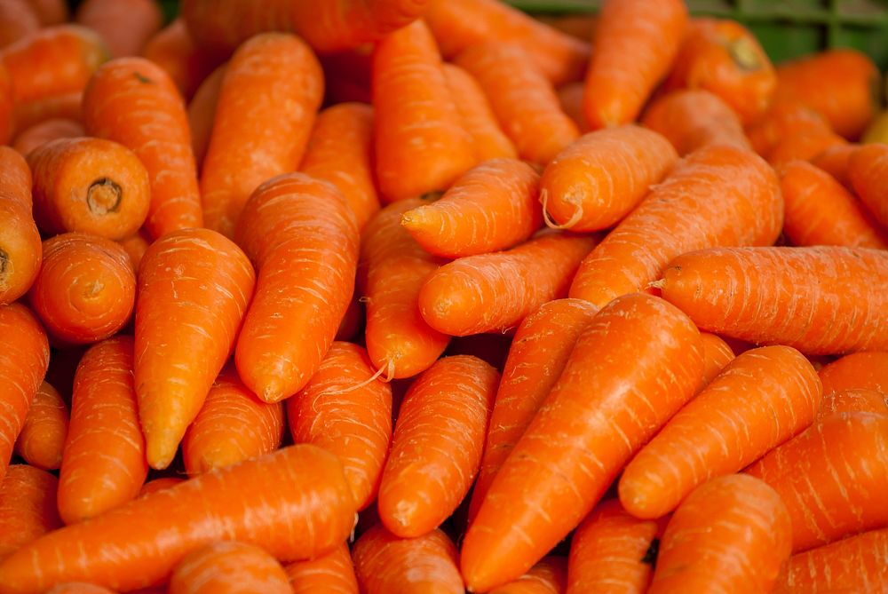Free fresh orange carrot image, public domain vegetables CC0 photo.