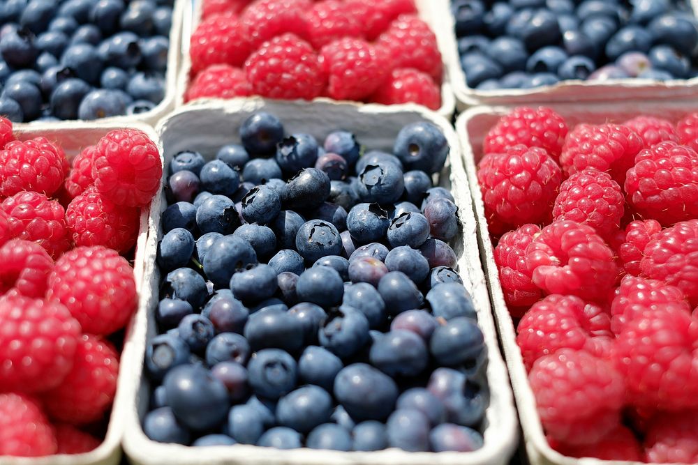 Free blueberry & raspberry image, public domain fruit CC0 photo.