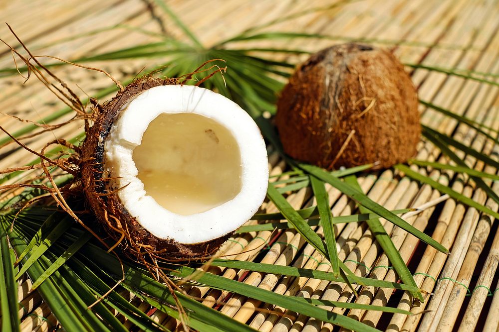 Free fresh open coconut image, public domain fruit CC0 photo.