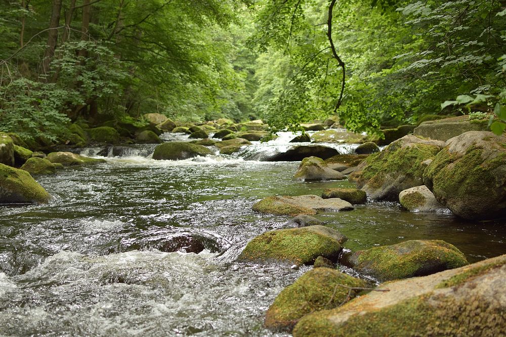 Free flowing river image, public domain nature CC0 photo.