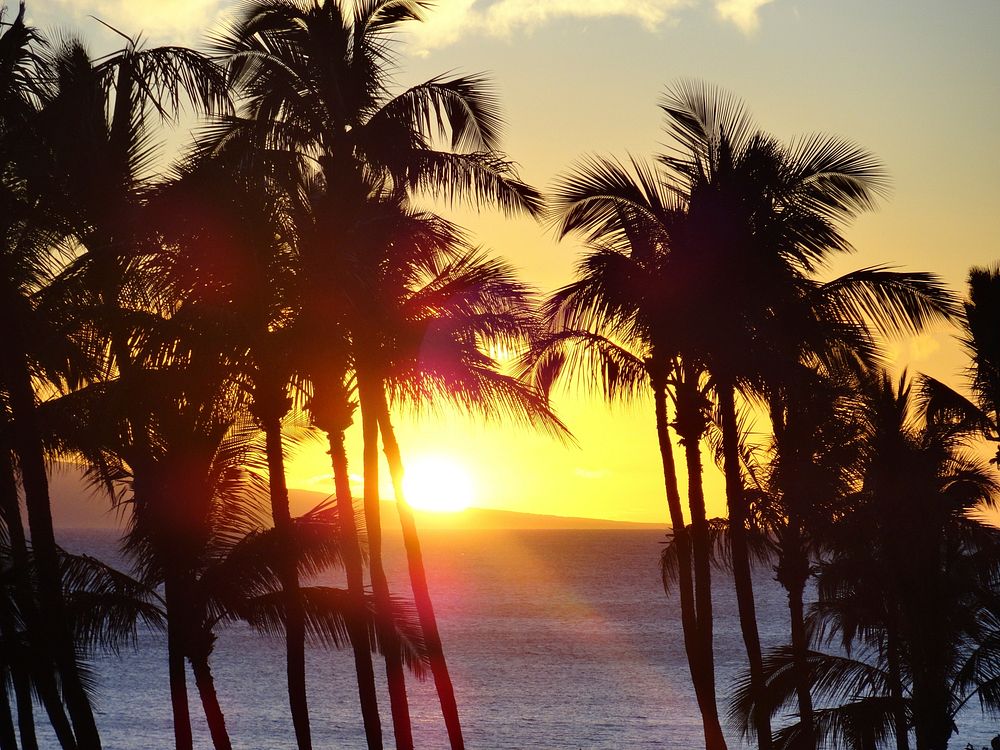 Tropical beach sunset landscape, free public domain CC0 photo