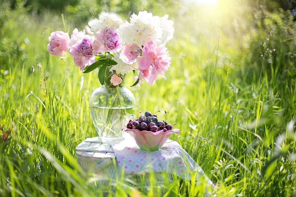 Free flower vase in grass field with a bowl of cherries image, public domain fruit CC0 photo.