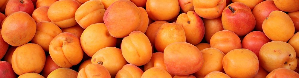 Free pile of apricot background photo, public domain fruit CC0 image.