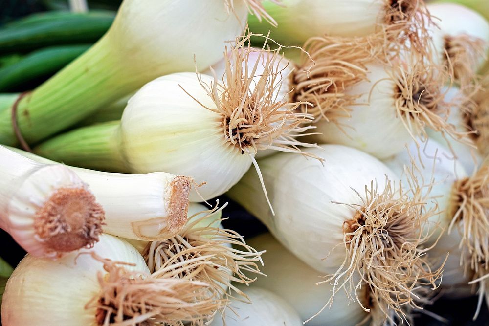Free spring onion image, public domain vegetable CC0 photo.