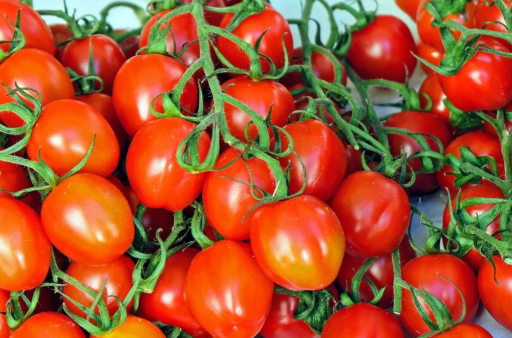 Free picture of many red tomatoes with stem, public domain CC0 photo.